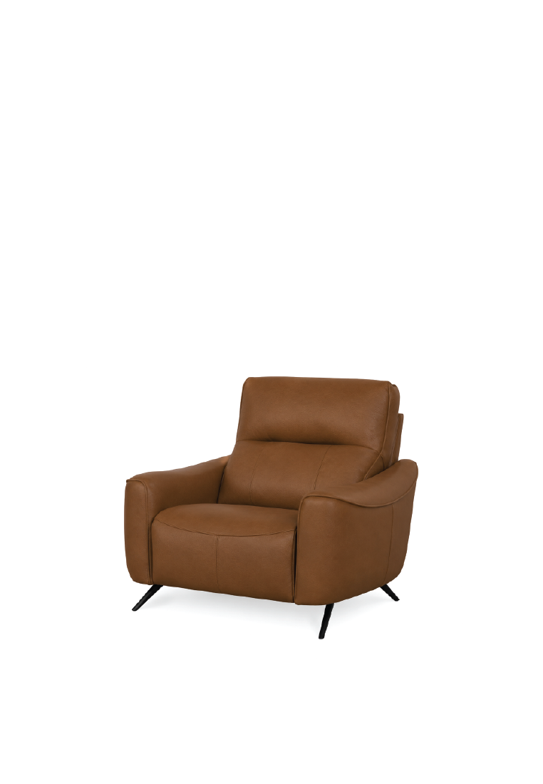 Rodeo Recliner