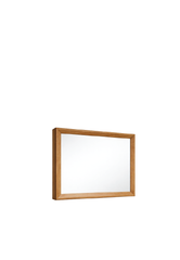 Elaris Mirror